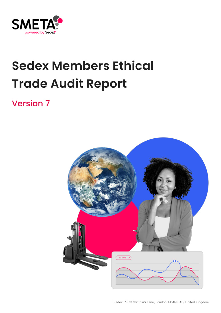SMETA audit report